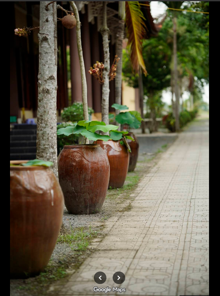 Lối đi trong khuôn viên chùa với lu sen
